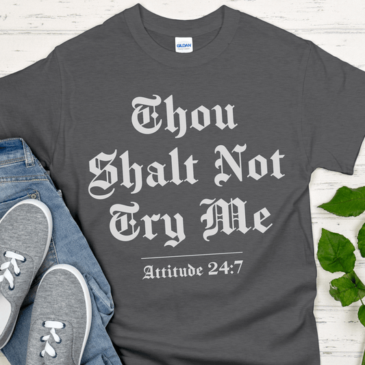 Recovery T-Shirt | Inspiring Sobriety |  Thou Shalt Not Try Me