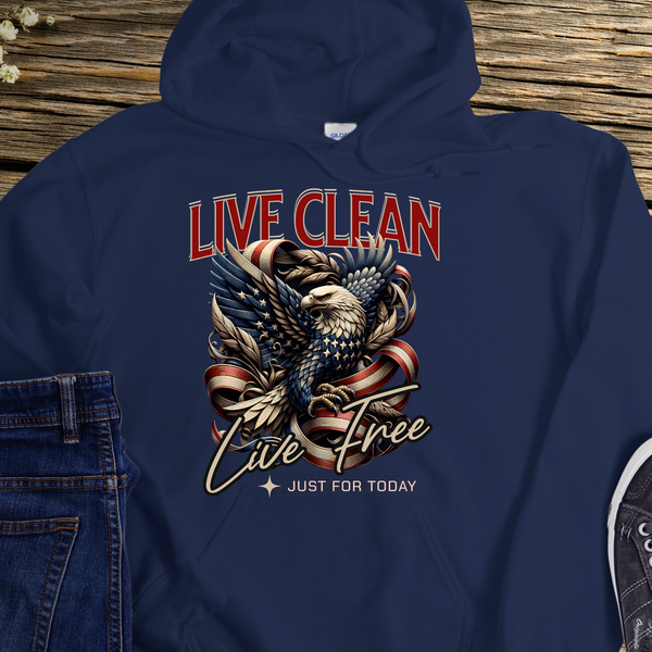 Recovery Hoodie | Inspiring Sobriety |  Live Clean, Live Free