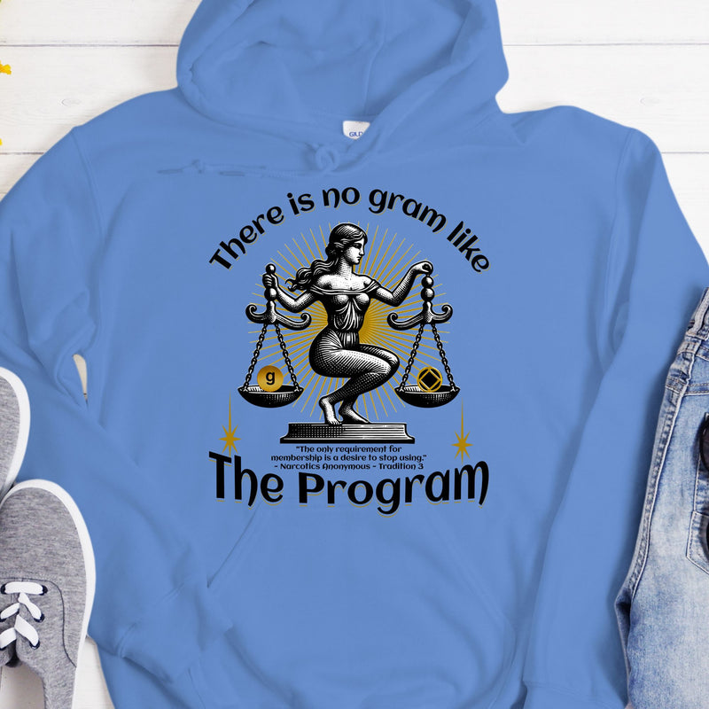 carolina blue NA Recovery Hoodie | Inspiring Sobriety |  There's No Gram Like The Program