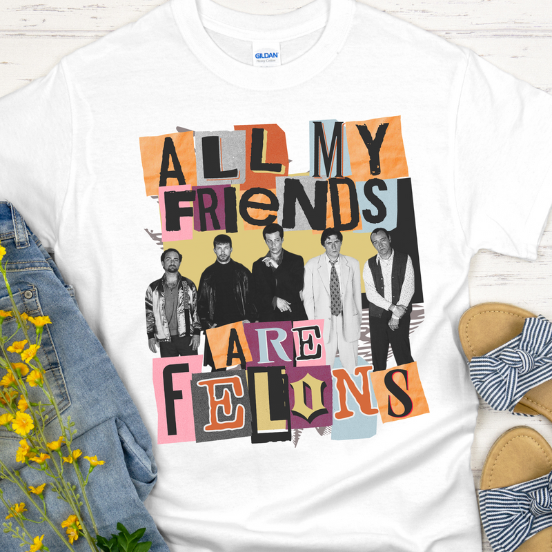 Recovery Unisex T-Shirt | Inspiring Sobriety |  All My Friends Are Felons