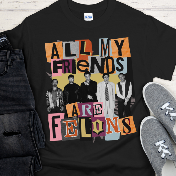 Recovery T-Shirt | Inspiring Sobriety |  All My Friends Are Felons