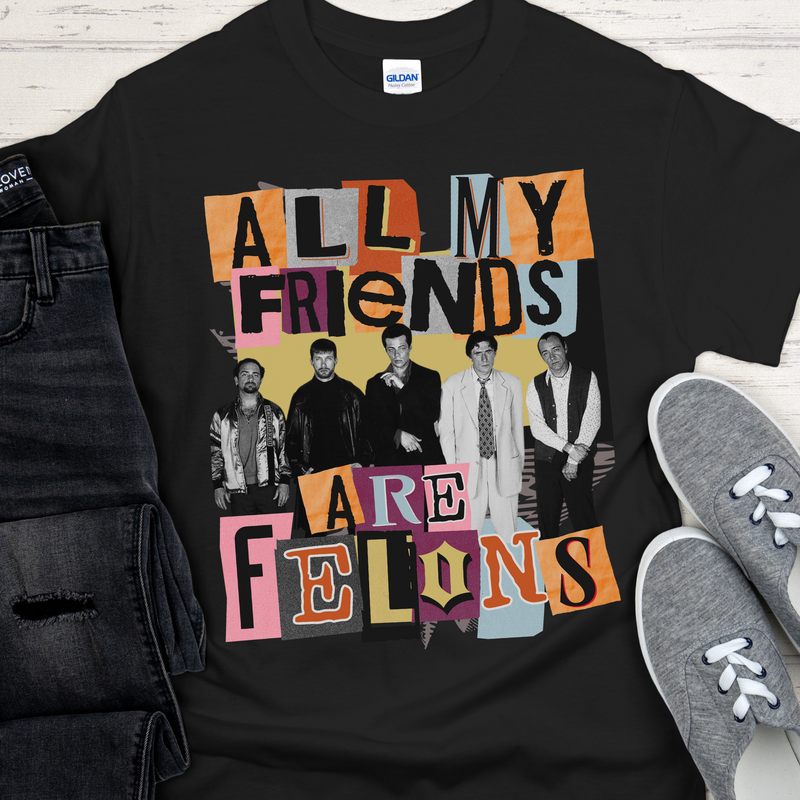 Recovery Unisex T-Shirt | Inspiring Sobriety |  All My Friends Are Felons