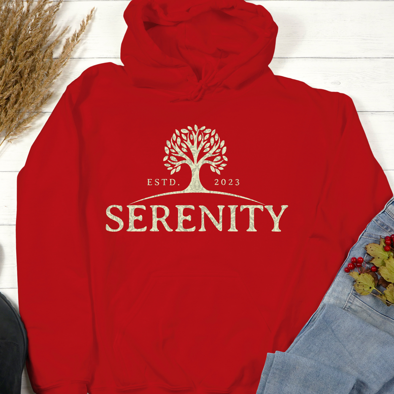 Custom Recovery Hoodie | Inspiring Sobriety |  Serenity Established