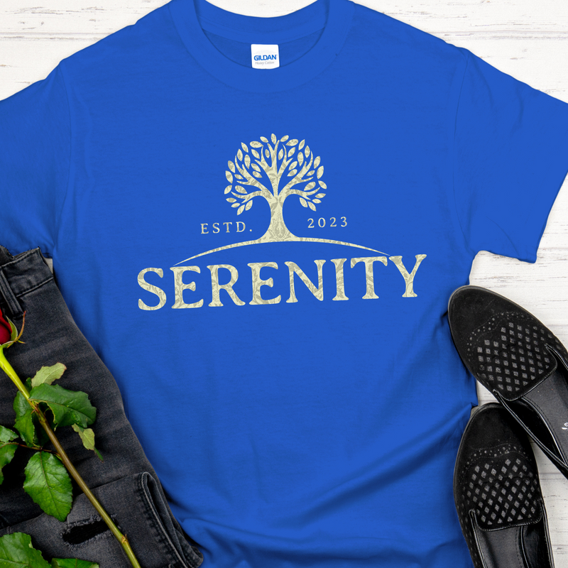 Custom Recovery T-Shirt | Inspiring Sobriety | Serenity Established