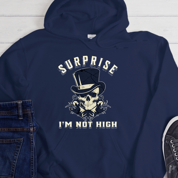 Recovery Hoodie | Inspiring Sobriety |  Surprise I'm Not High