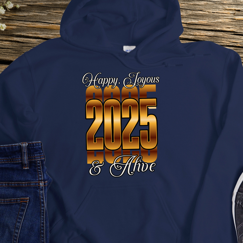 Recovery Hoodie | Inspiring Sobriety |  Happy Joyous & Alive in 2025