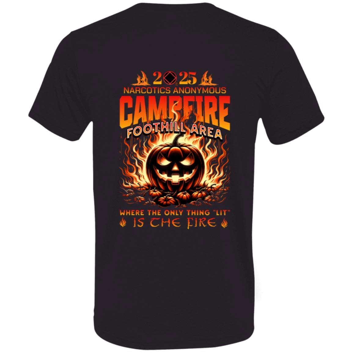 Foothill Area NA Campfire TriBlend T-Shirt