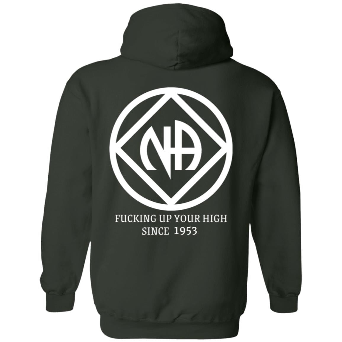 NA Recovery Hoodie | Inspiring Sobriety | NA - F'ing Up Your High Since 1953