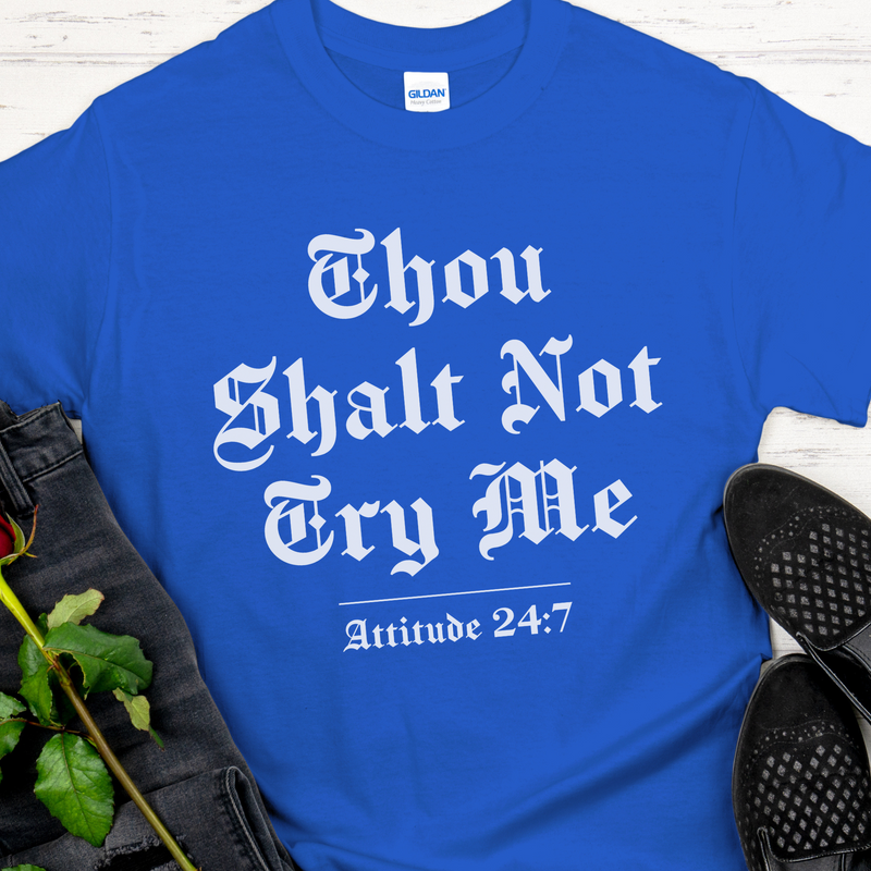 blue Unisex Recovery T-Shirt | Inspiring Sobriety |  Thou Shalt Not Try Me