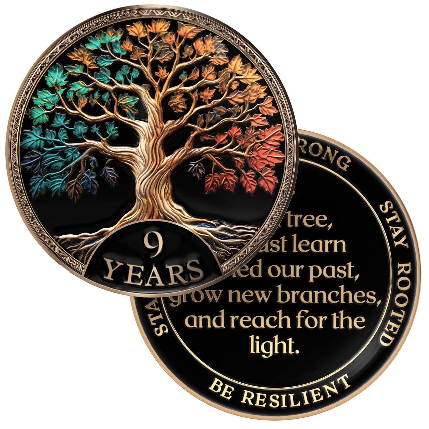 Tree of Life Affirmation Sobriety Coin Gift Set - Multicolor