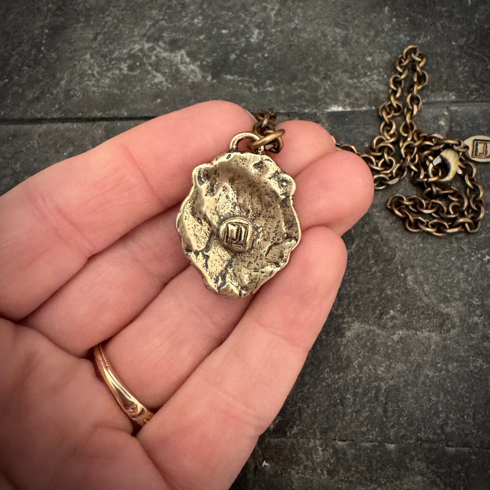 Vintage Bronze Lion Pendant | Inspiring Sobriety and Johnny LTD