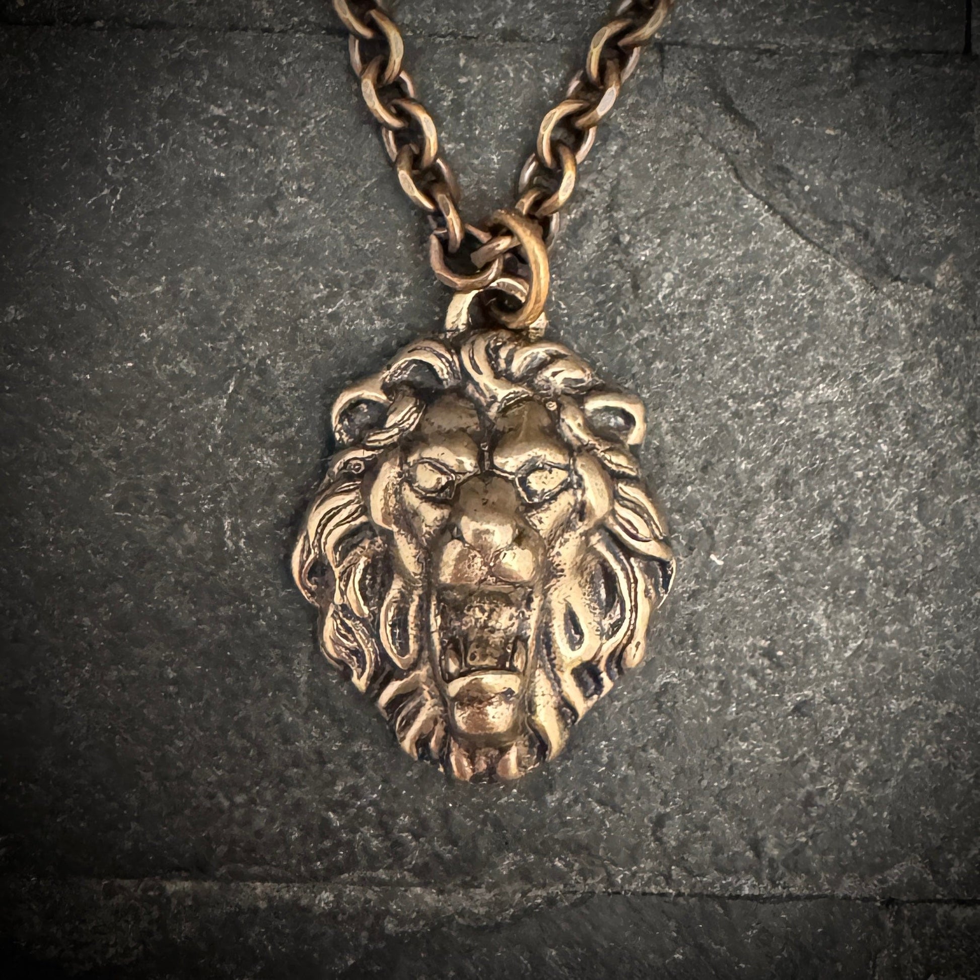 Vintage Bronze Lion Pendant | Inspiring Sobriety and Johnny LTD