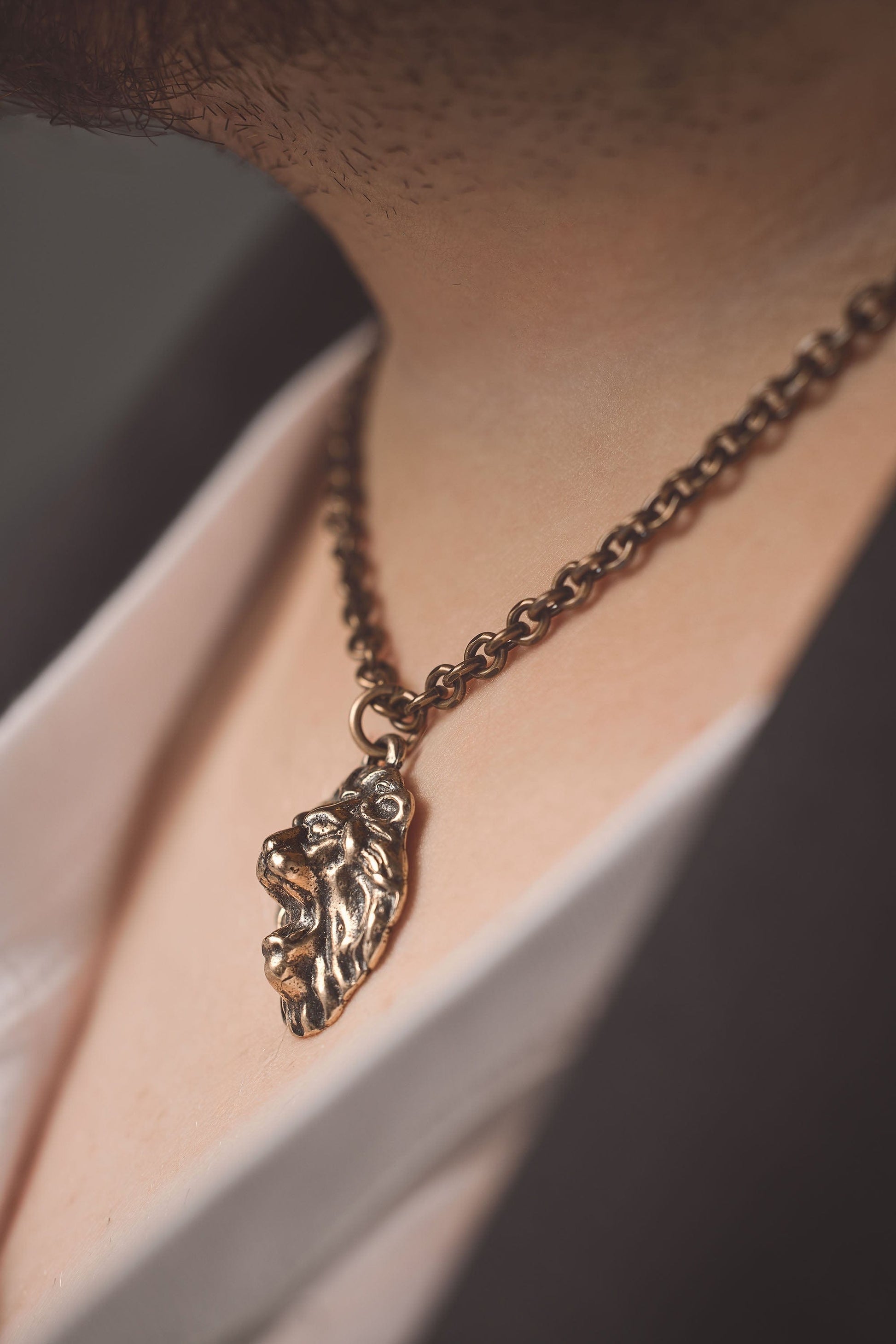 Vintage Bronze Lion Pendant | Inspiring Sobriety and Johnny LTD